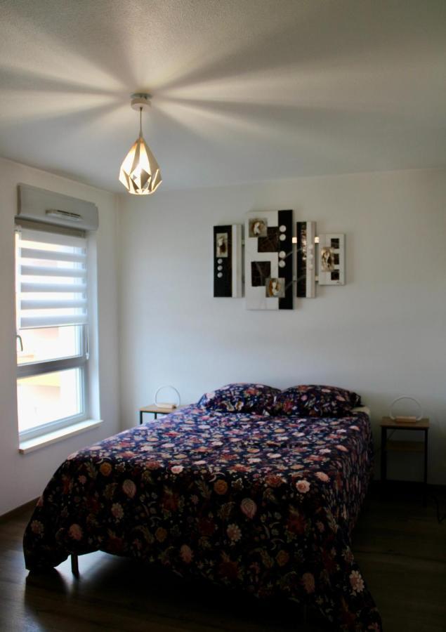 Appartement Confortable Avec Parking Prive Schiltigheim Esterno foto